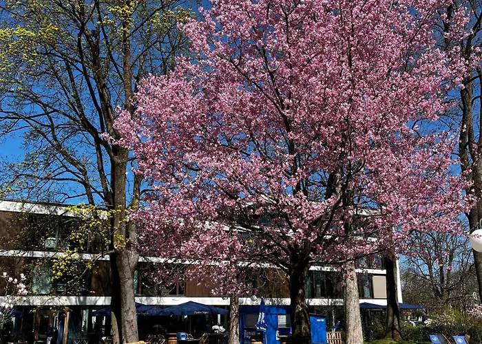 Hotel Jugend- Und Augustin